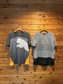 adidas & PUMA Tシャツセット