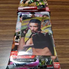 RIZINウエハース 24 No.14 クレベル・コイケ