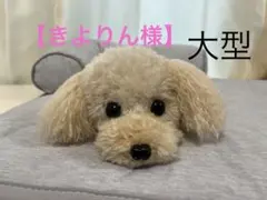 トイプードル あみぐるみ イチゴ ✨いくみん トイプードル あみぐるみ イチゴ ✨いくみん様専用 - メルカリ