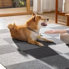 Item thumbnail for item 5fe960c2-03a7-4058-a69d-44872fcc351f