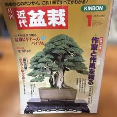 月刊近代盆栽 1997年1月号 盆栽ビギナーズ・バイブル 作風づくり特集のサムネイル