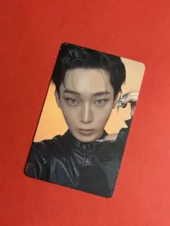 えりちゃん様 リクエスト 2点 まとめ商品