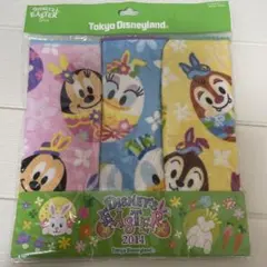 東京ディズニーランド イースタータオル 3枚セット
