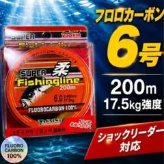 フロロカーボン ライン 6号 200m ハリス 道糸 ショックリーダー 釣りのサムネイル