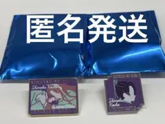 劇場版「鬼滅の刃」無限城編第一章 キャラクターモチーフピンズ第2弾 胡蝶しのぶ