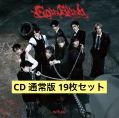 &TEAM Go in Blind CD 通常版 19枚セット