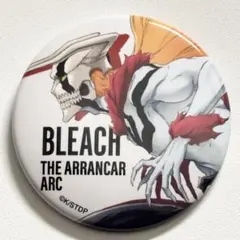 BLEACH THE STORIES OF ICHIGO 黒崎一護 缶バッジ ⑤