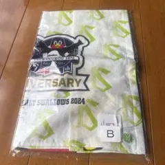 Item thumbnail for item 86483b19-c6c8-4025-af76-50b278fcc13a