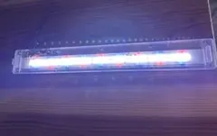 Aqullo Triangle Vivid 60 2台 - メルカリ