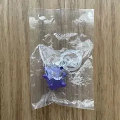 2025年最新】ポケモン めじるしアクセサリー ゲンガーの人気アイテム