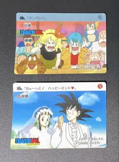 ドラゴンボール カードダス 1989年製造 2枚セット