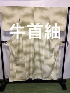 正絹 上品な 塩沢紬 単衣 裄丈69 - メルカリ