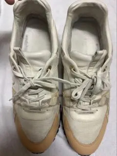 Item thumbnail for item 0e575864-d5e1-48e9-9765-177e465e390e