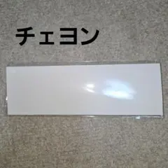 TWICE THIS IS FOR うちわグリップカバーチェヨン