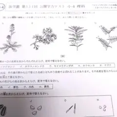 浜学園　2020年度　小4 理科 教材1年分 浜学園小6理科テキスト1年分 浜学園理科教材 市販参考書の通販 by とも