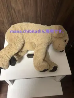 犬型ぬいぐるみ 中型 ベージュ