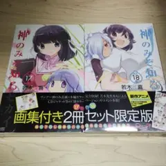 【新品】神のみぞ知るセカイ 17-18 画集付き2冊セット限定版