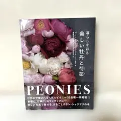 Item thumbnail for item fec67ea3-a729-4b89-a064-ccb9b7cb8162