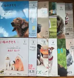いぬのきもち　2024年　1年分　まとめ売り　12冊 2025年最新】いぬのきもち12冊の人気アイテム - メルカリ