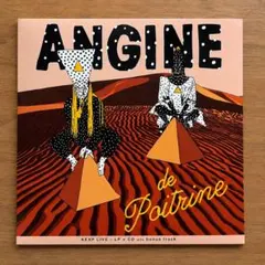 新品 ANGINE DE POITRINE-Vol.Ⅱ Analog アナログ - メルカリ