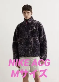 NIKE ACG Canwell Glacier ハーフジップトップ フリース