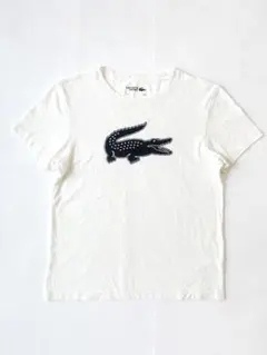 LACOSTE SPORT ラコステ 半袖 Tシャツ ビッグロゴ M