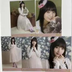 乃木坂46 生寫真 海邊朱莉 2025 萬聖節 全套