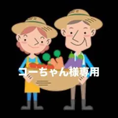 コーちゃん様専用 お米