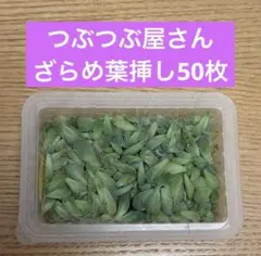 2026年最新】つぶつぶ ざらめの人気アイテム - メルカリ