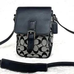 【COACH 】6098 ショルダーバッグ レザー キャンバス シグネチャー