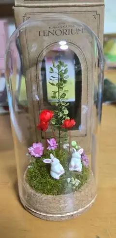Petit Tenorium ピンクレッド うさぎ テラリウム
