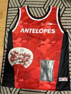 ANTLOPES TOYOTA ユニフォーム セット