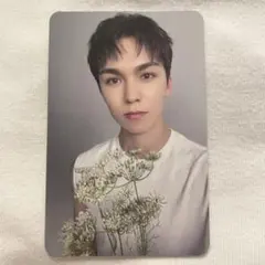 17 IS RIGHT HERE carat盤 バーノン トレカ