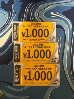 HAWKS STORE お買い物券 1,000円×3枚
