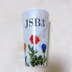 JSB3 タンブラー コップ 居酒屋えぐざいる