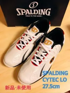 Item thumbnail for item 930bd2c5-80df-4af8-a370-d7c1acc249c7