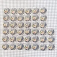 椎名ニキ　イベコレ缶バッジ　Extra　39点セット　まとめ売り