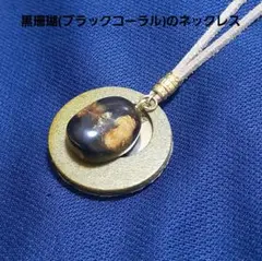 2025年最新】深海松の人気アイテム - メルカリ