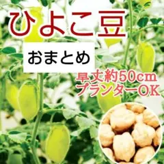 4/30　JoJomama様 リクエスト 2点 まとめ商品