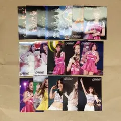 KARA ライブツアーKAMILIA2013 公式受注写真セット Lサイズ