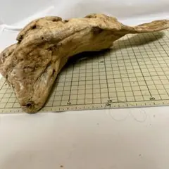 コエポン様 リクエスト 3点 まとめ商品