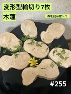 Item thumbnail for item 1751430b-af6c-4575-8dd5-04472bca79a6