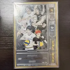 ハイキュー!! Sportiva アクリルパネル アクリルスタンド