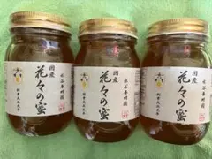 水谷養蜂園 国産 花々の蜜 600g 3本セット - メルカリ