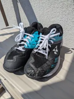 Item thumbnail for item f2af3501-6440-4bd4-8456-e5c1188ede1e