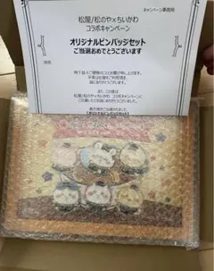 ちいかわ×松屋オリジナルピンバッジセット【国内100名限定】Chiikawa ちいかわ 松屋 キャンペーン 当選品 オリジナルピンバッジセット