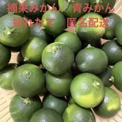ハウススダチ 家庭用 4キロ 入札式 - メルカリ