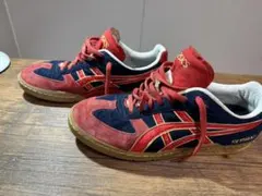 ASICS SKYHAND ハンドボールシューズ スカイハンド オリジナルカラー