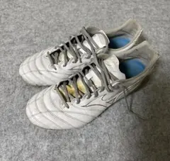 Item thumbnail for item 73d669c7-0056-4296-9eb3-2c90a3f05a41