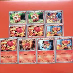 ポケモンカード エクストラ バオップ・バオッキー 10枚セット